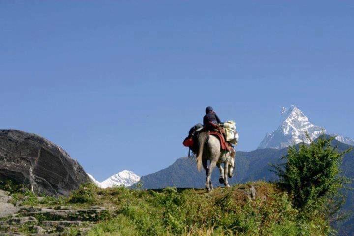 Harry'S Home Kathmandu Luaran gambar